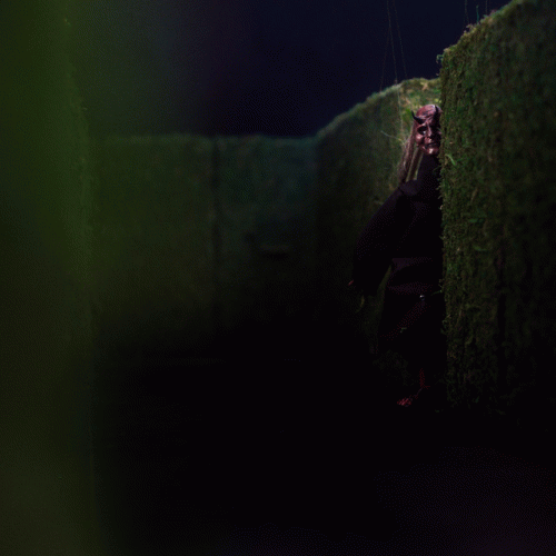 The Devil Wears Prada : Eyes